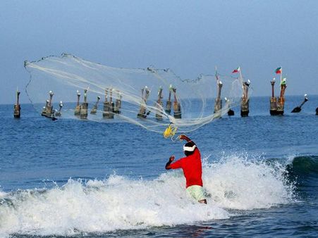 Goa government admits to drop in fish catch