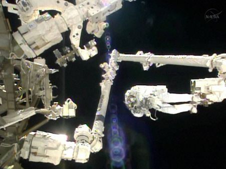 Zero gravity in space may impact astronauts' immunity