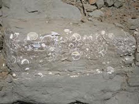 Ancient baby care centre found in sea!