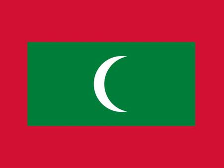 Maldives ruling coalition wins parliamentary election
