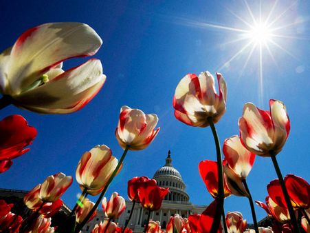 In Pics: What happened across the world on April 28