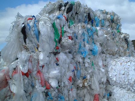 A teenage girl's campaign for a polythene-free India