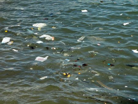 Trash concentration in ocean as dangerous as climatic change