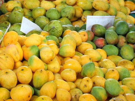 Bihar: Scientists develop 'seedless mangoes'