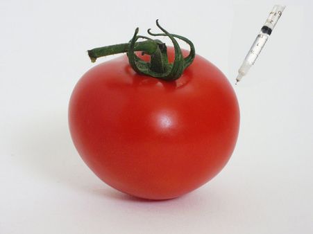 China to punish those growing or selling GM crops