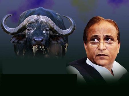 From buffaloes to communal riots: Why common man is at mercy of god in UP