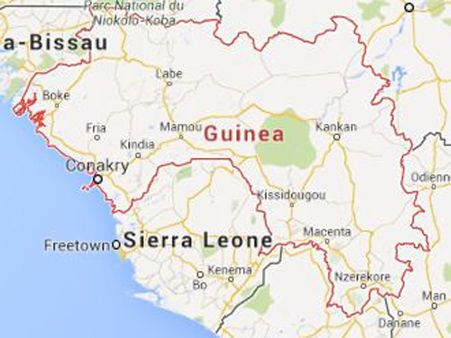 Eight members of Ebola fact-finding mission killed in Guinea