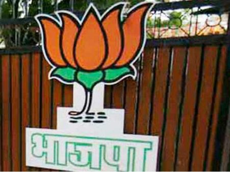 Delhi polls: BJP Union mins, MPs given charge of consituencies