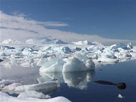 Fossil leaves show how Antarctic ice melted 23 mn years ago