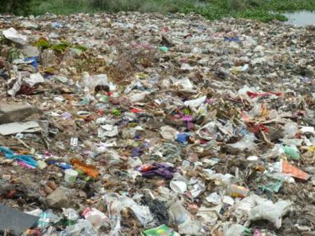 Scientists raise concern over marine pollution by plastics