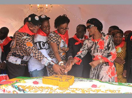 Elephant meat, wild animals 'served' on Zimbabwe President Robert Mugabe's 91st birthday bash