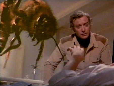 Bizarre terror alerts that make you go LOL to ROFL