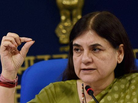 Maneka Gandhi bats for surface cleaner made from cow urine extracts
