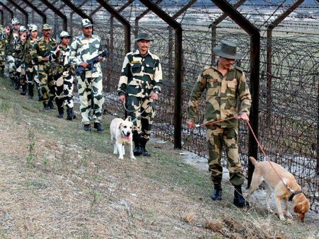 2 Pakistani intruders shot dead by BSF; 12-kg heroin, rifle seized