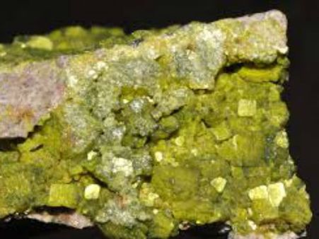 Bugs can solve India's uranium dilemma: Expert