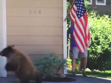 Hilarious Video: What happened when a bear and a dude came face to face