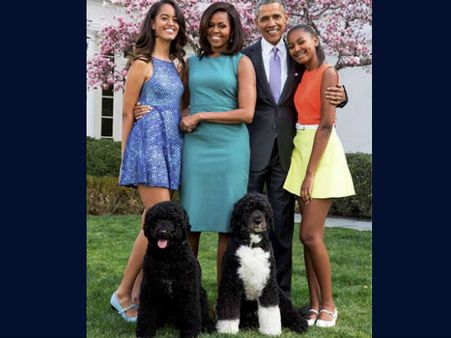 Unique marriage proposal for Barack Obama's daughter; Cows, sheep, goats offered as bride price