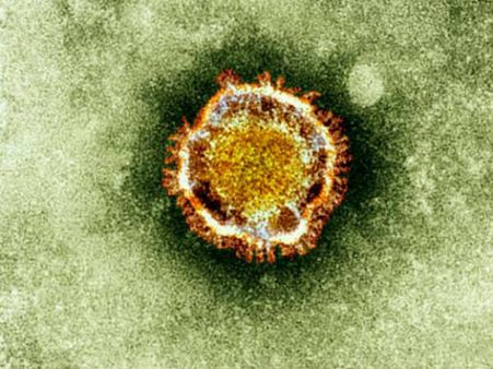 South Korea reports 5th death from MERS, 14 new cases