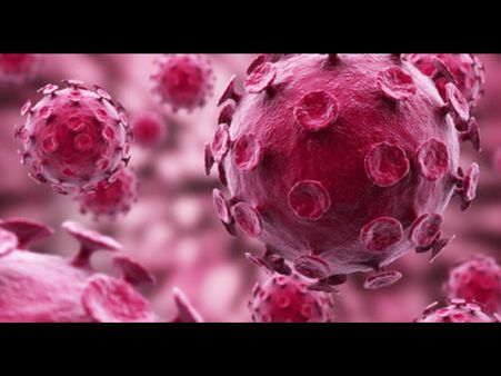 10th death as MERS outbreak forces S Korea to cut interest rate