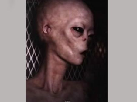 'Aliens may actually exist and resemble humans'