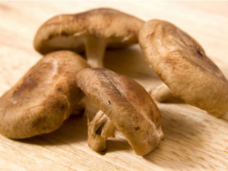 Eating wild mushrooms can lead to liver failure