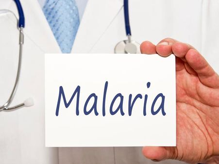 New drug shows potential to cure and prevent malaria