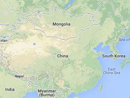 Largest bird-like dinosaur unearthed in China