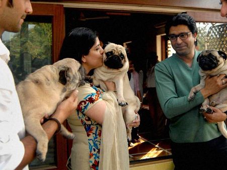 Pet dog 'Bond' bites Raj Thackeray's wife; plastic surgery done