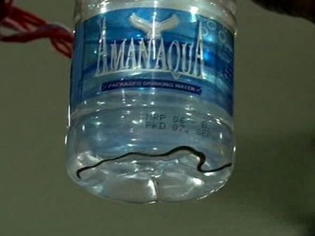 OMG! Baby snake found inside water bottle kept for Chhattisgarh CM, Union Health Minister