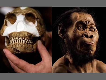 6 women achieve new feat; uncover a new species of human beings