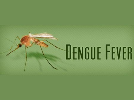 Decoded: How dengue uses human enzyme to spread faster