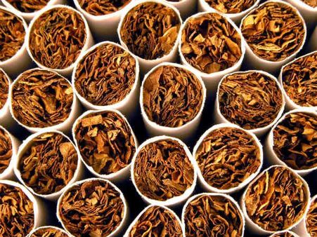 Parliamentary panel favours bringing tobacco production under regulatory regime