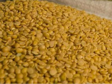 Over 1.20 lakh tonnes of pulses seized; dal still out of common man's reach