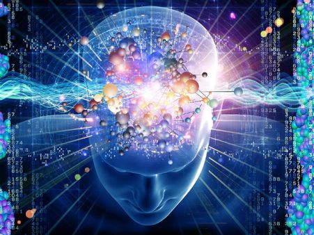 Human brain decodes basic language like monkeys