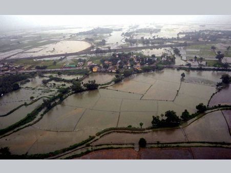 Andhra Pradesh: Heavy rains leave a trail of death & destruction