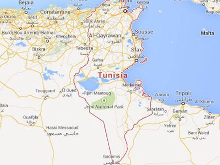 Bomb attack on Tunisia presidential guard bus kills 11