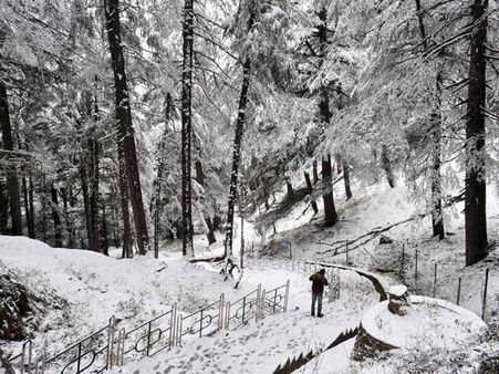 Shimla warmer than Chandigarh, Amritsar