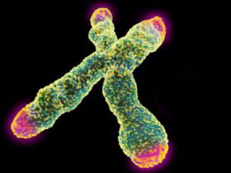 Britain authorises three-parent fertilisation to avoid incurable inherited diseases