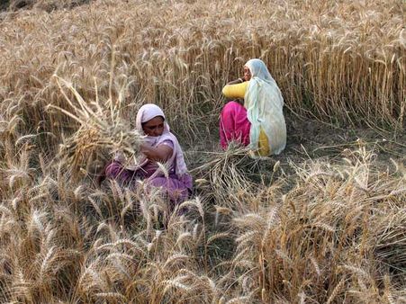 Organic Farming Promoted at Krishi Unnati Mela 2016