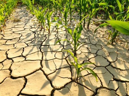 Colombia drought to last through June: president