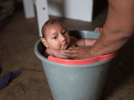 Health officials want more Zika samples, data from Brazil