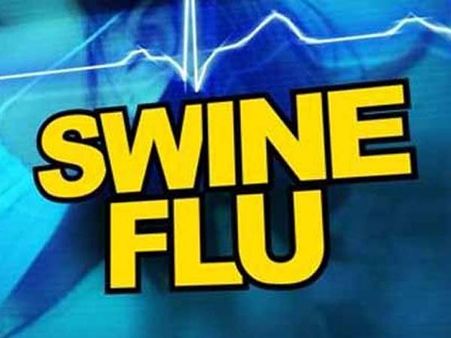 Swine flu deaths: Govt forms panel to review guidelines on vaccination