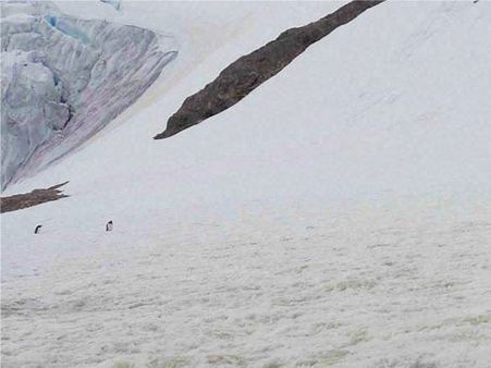 Antarctica hasn't lost much sea ice in last 100 years