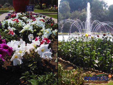 In Pics: Colourful World famous Mughal Gardens invites nature lovers