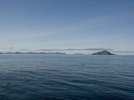 New 'ghost-like' octopus found near Hawaii