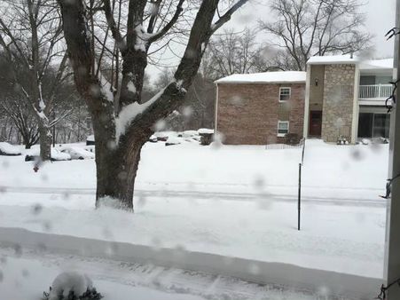 Fresh snow in Kashmir hills, plains get rain