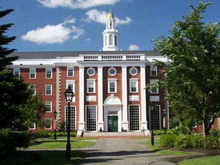 Harvard researchers design tunable 3D material