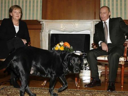 Vladimir Putin denies using his dog to scare Angela Merkel