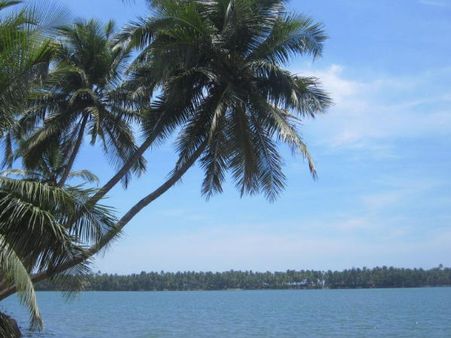 India to take steps to boost cruise tourism: Mahesh Sharma