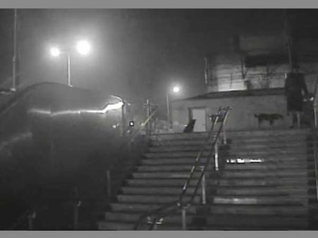 Shocking video: Delhi's serial dog killer brutally stabs puppies, caught on camera